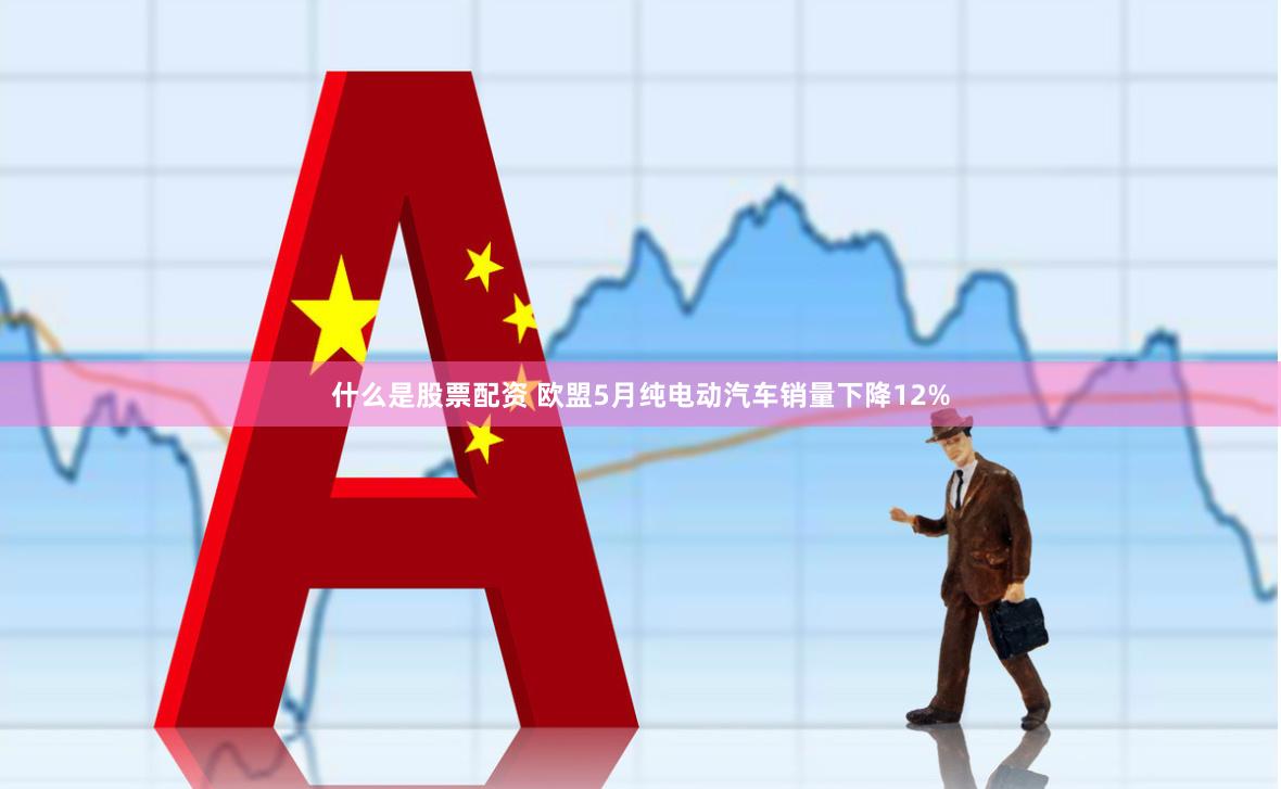 什么是股票配资 欧盟5月纯电动汽车销量下降12%